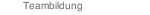Teambildung