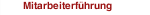 Mitarbeiterführung 
